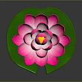 Blooming Pink Lotus Flower With Fresh Green Lily Pad On Dark Background