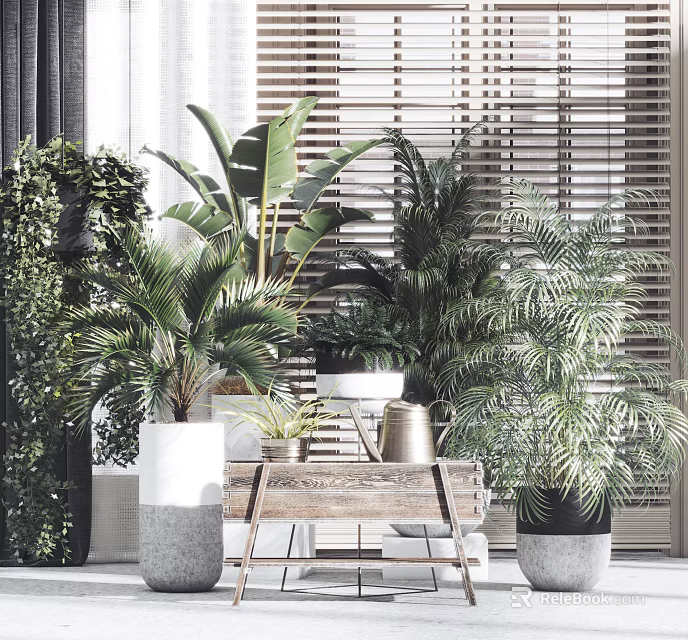 Indoor Potted Plants With Various Green Palms And Wooden Cart Near Blinds 3d model 