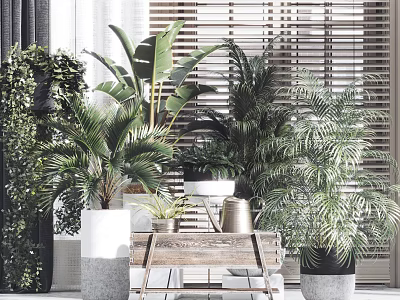 Indoor Potted Plants With Various Green Palms And Wooden Cart Near Blinds 3d model