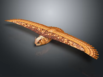 Majestic Owl with Spreading Wings and Brown Yellow Feathers in Flight 3d model