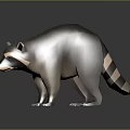 Low Poly Raccoon 3D Model in Standing Pose on Gray Background with Reflective Surface 3d model