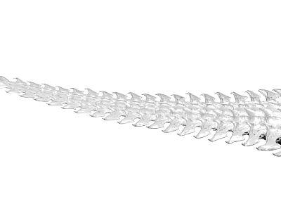 Transparent Plastic Fish Scale Shaped Decorative Strip With Unique Textured Design For Home Decor 3d model