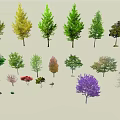 Diverse Plant Combination With Assorted Trees Various Sizes And Colorful Foliage