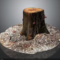 Natural Wooden Stump Display With Stone Base And Textured Ground Covering