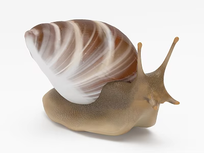 Spiral Shelled Reptile With Brown And White Patterns And Long Tentacles 3d model