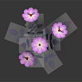 Four Pink Flowers With Yellow Centers And Purple Leaves On Stems Against Dark Background