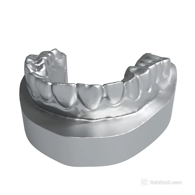 Dental Teeth Model Showing Upper And Lower Jaw Structure With Detailed Features 3d model