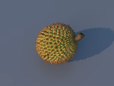Fresh Ripe Durian Fruit With Green And Yellow Thorns On Gray Background 3d model