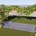 Lush Wooden Pergola With Grape Vines Green Leaves And Stone Pathway