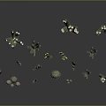 Various Green Cactus Plants in Different Sizes and Shapes on Black Reflective Background