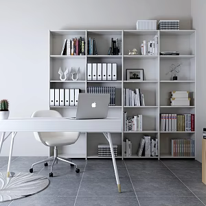 Modern Bookcase Desk and Chair Bookcase Side Cabinet Cactus 3d model