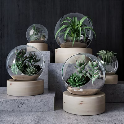 Stylish Decorative Ornament Set with Glass Globes Succulents Green Plants and Wooden Bases 3d model