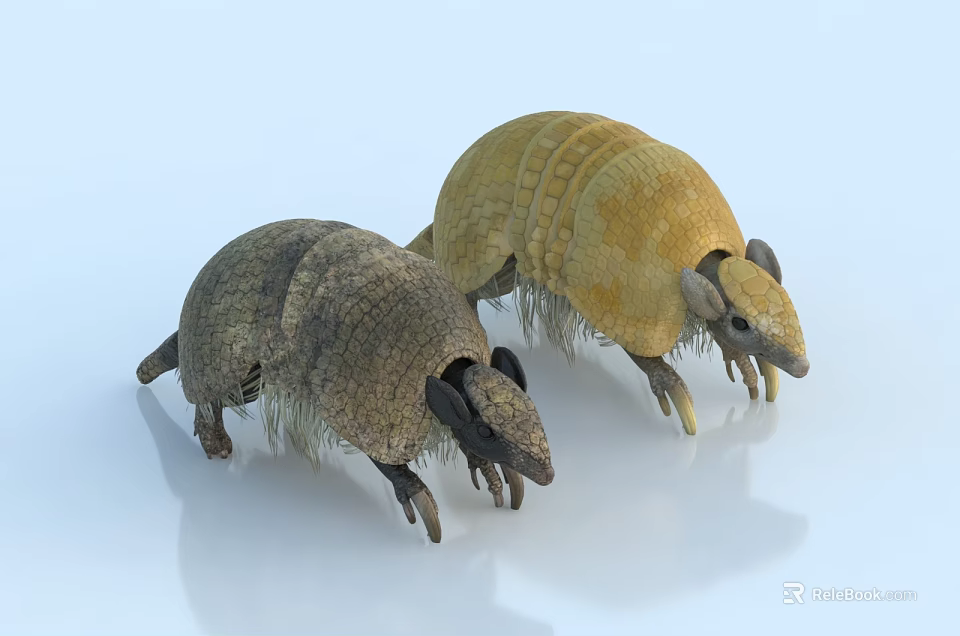 Two Armored Reptiles With Brown And Yellow Textured Shells On White Background 3d model 