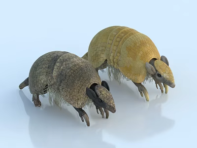 Two Armored Reptiles With Brown And Yellow Textured Shells On White Background 3d model