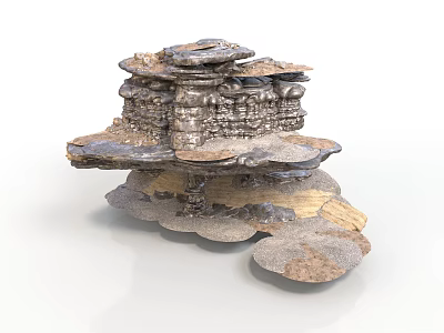 Layered Natural Organic Stacked Structure With Textured Surfaces And Irregular Layers 3d model