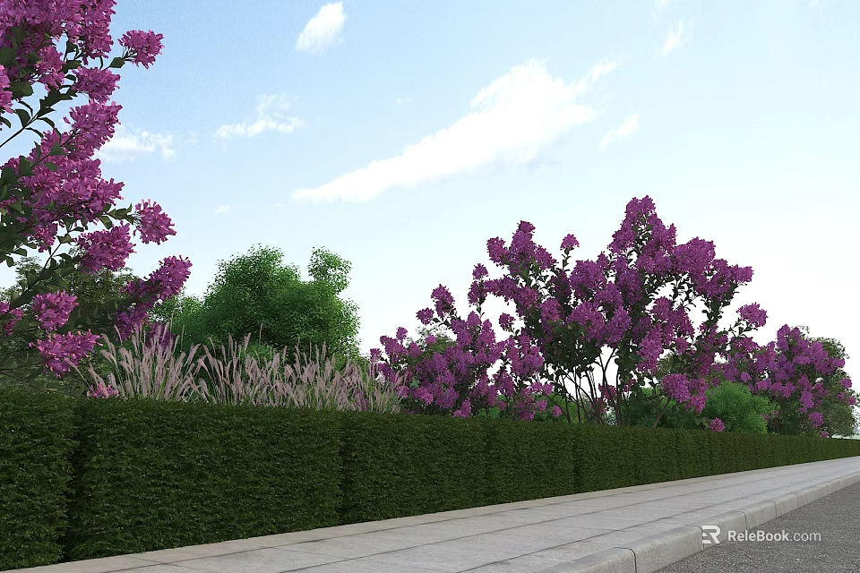 Serene Garden Landscape with Purple Flowering Shrubs Neatly Trimmed Green Hedges Lush Grass and Stone Pathway 3d model 