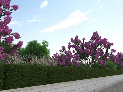 Serene Garden Landscape with Purple Flowering Shrubs Neatly Trimmed Green Hedges Lush Grass and Stone Pathway 3d model