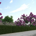 Serene Garden Landscape with Purple Flowering Shrubs Neatly Trimmed Green Hedges Lush Grass and Stone Pathway