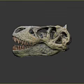 Detailed Dinosaur Skull Model Displaying Cranial Organ Structure Sharp Teeth and Textured Surface 3d model