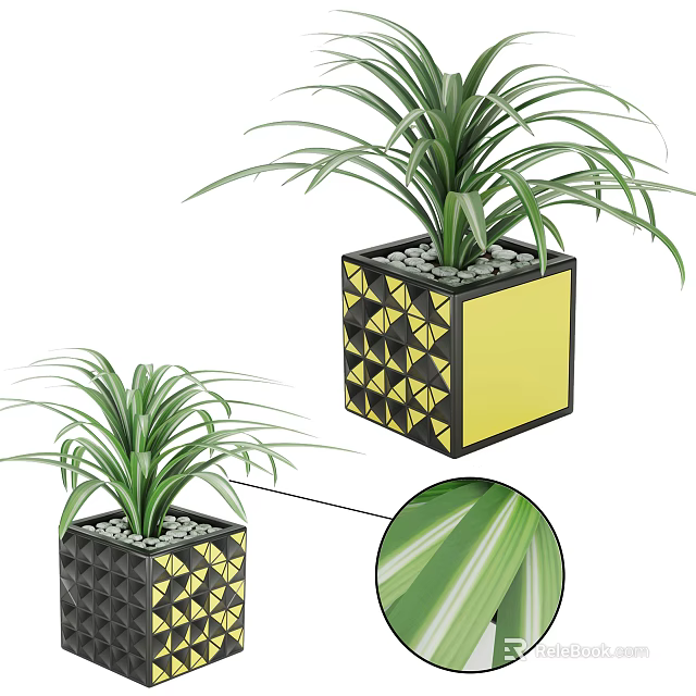 Potted Bonsai Plant With Modern Geometric Black Yellow Planter And Green Striped Leaves 3d model 
