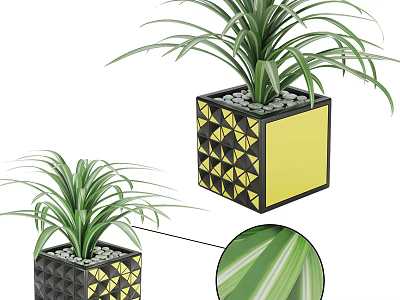 Potted Bonsai Plant With Modern Geometric Black Yellow Planter And Green Striped Leaves 3d model