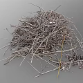 Dried Plant Branches And Fallen Leaves Pile Of Natural Garden Debris Collection
