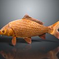 Modern carp freshwater fish marine fish 3d model