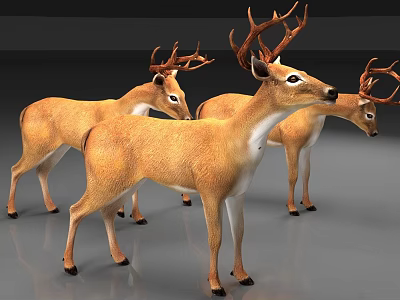 Three Lifelike Reptile 3D Models Standing on Gray Surface with Brown White Features 3d model