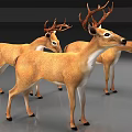 Three Lifelike Reptile 3D Models Standing on Gray Surface with Brown White Features
