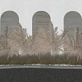 Lush Pampas Grass Display In Front Of Arched Windows With Gray Stone Ground
