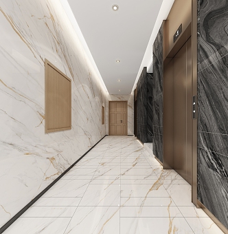 Modern elevator aisle corridor public area characteristic office building elevator 3d model