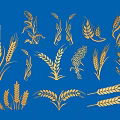 Golden Crop Illustrations With Wheat Ears And Grain Stalks On Blue