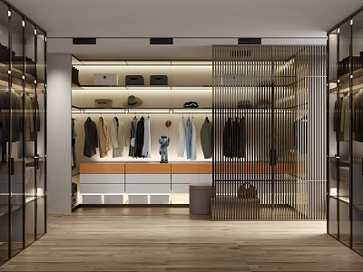 Modern Walk in Closet Interior With Hanging Clothes Hats Drawer Cabinets Glass Doors And Lighting 3d model