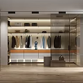 Modern Walk in Closet Interior With Hanging Clothes Hats Drawer Cabinets Glass Doors And Lighting
