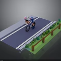Cyclist Riding On Asphalt Road With Wooden Fence And Green Grass