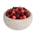 Fresh Mixed Fruits in Stone Bowls with Cranberries Apricots Blueberries and Raspberries