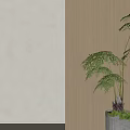 Indoor Potted Bonsai Plant With Lush Green Leaves In Gray Pot Near Window Wooden Wall