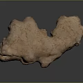 Fresh Ginger Root With Natural Rough Surface And Irregular Shape 3d model