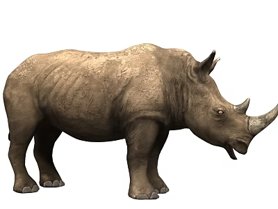 Realistic Brown Rhinoceros With Textured Skin Horn Standing Isolated On White Background 3d model