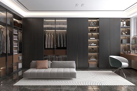 Modern Cloakroom Premium Grey Cloakroom 3d model