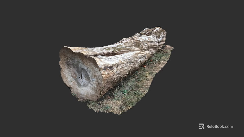 Tree Trunk Cross Section With Visible Growth Rings And Bark Texture On Grass Base 3d model