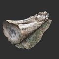 Tree Trunk Cross Section With Visible Growth Rings And Bark Texture On Grass Base 3d model