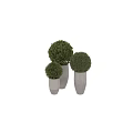 Decorative Bonsai Potted Plants With Green Foliage In Round Stone Planters For Indoor Use