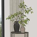 Black And Beige Vases With Green Leaves On White Table By Window Curtains