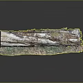 Natural Wooden Log with Green Moss and Stone Pebbles on Display Base