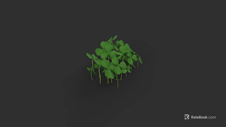 Fresh Green Clover Plant with Lush Leaves Growing on Dark Background 3d model 