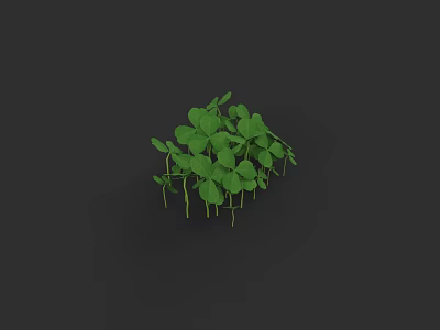 Fresh Green Clover Plant with Lush Leaves Growing on Dark Background 3d model