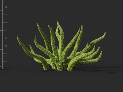 Green Plant With Long Slender Branches Textured Surface 3D Model Isolated On Dark Background 3d model