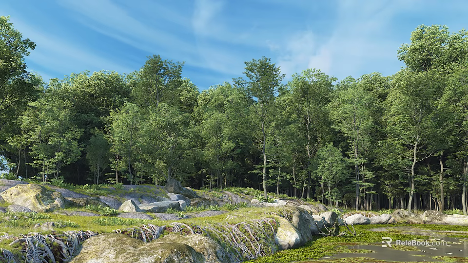 Beautiful Natural Landscape With Lush Green Forest And Bright Blue Sky Over Mossy Rocky Ground 3d model 
