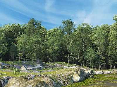 Beautiful Natural Landscape With Lush Green Forest And Bright Blue Sky Over Mossy Rocky Ground 3d model